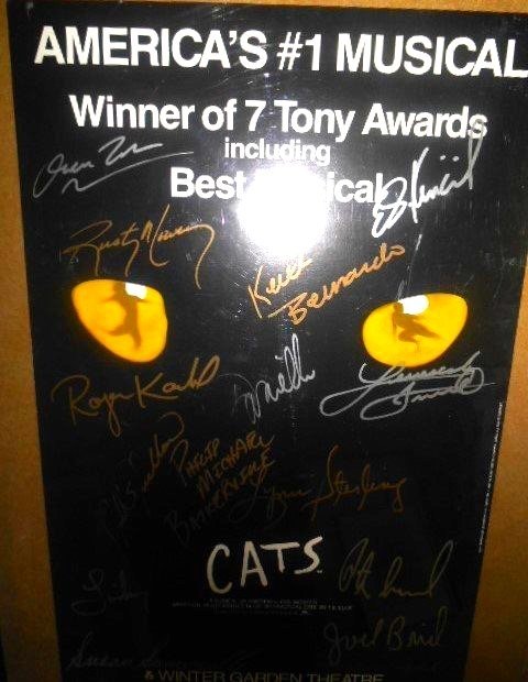 Cats Musical Poster,Andrew Lloyd Webber Signed by Cast: Cats Musical Poster by Andrew Lloyd Webber, autographed by Cast. Measurement: L 18” x W 24” Condition: Used - Good Makers Mark: Andrew Lloyd Webber