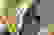 item-60558981=5