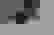 item-46047189=2