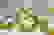 item-48720107=2