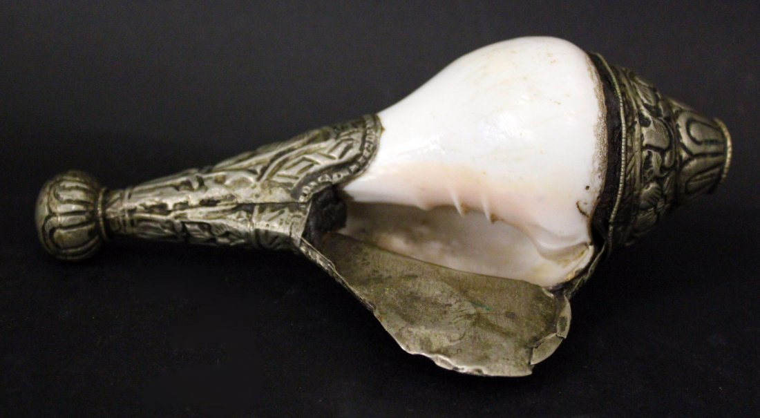 A CHINESE SLIVER SNAIL (1 of 4)