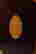 item-61868020=3