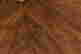 item-73034914=5