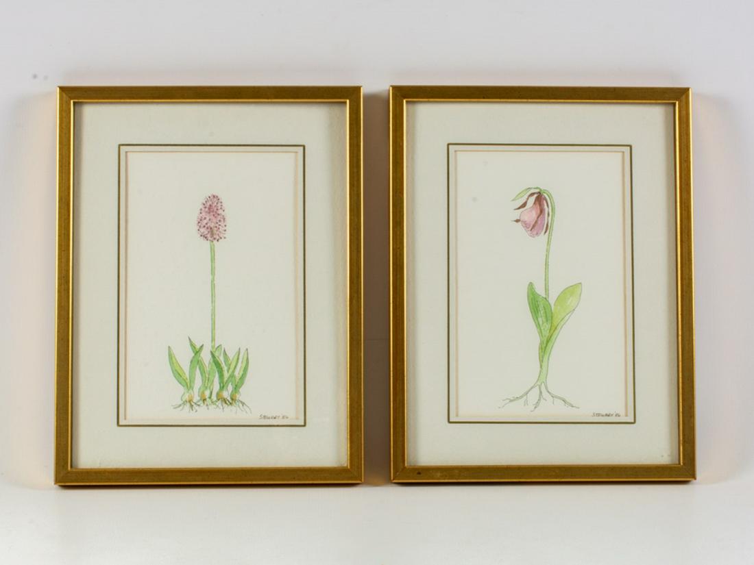 BARBARA FORREST 水彩画　額付き　バーバラ・フォレスト BARBARA FORREST 水彩画 額付き バーバラ・フォレスト BARBARA