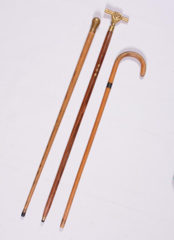 Walking Sticks / Canes (1 of 4)