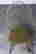 item-80173939=3