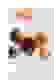 item-80173981=6