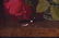 Oil on Canvas Still Life with Red Roses - 5