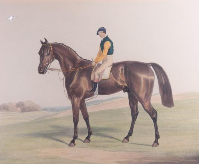M 19th C English Racehorse Aquatint. (1 of 7)
