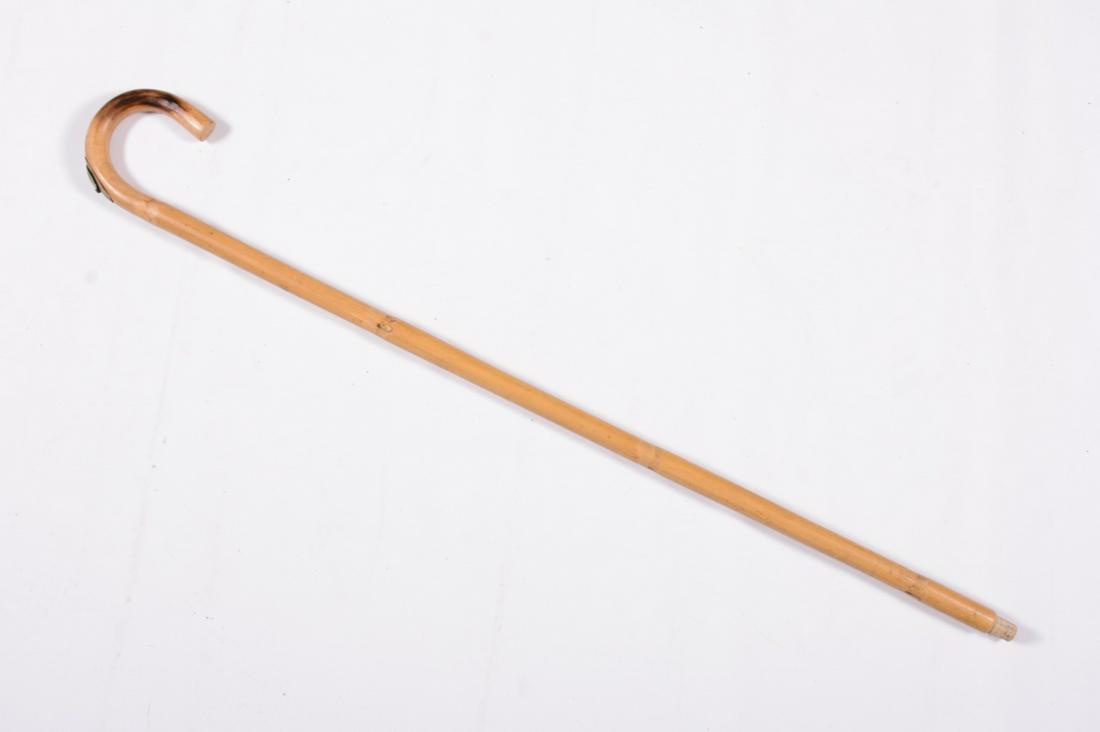 Horse Measuring Cane (1 of 7)