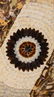 Butterfly Wings Artwork - 2