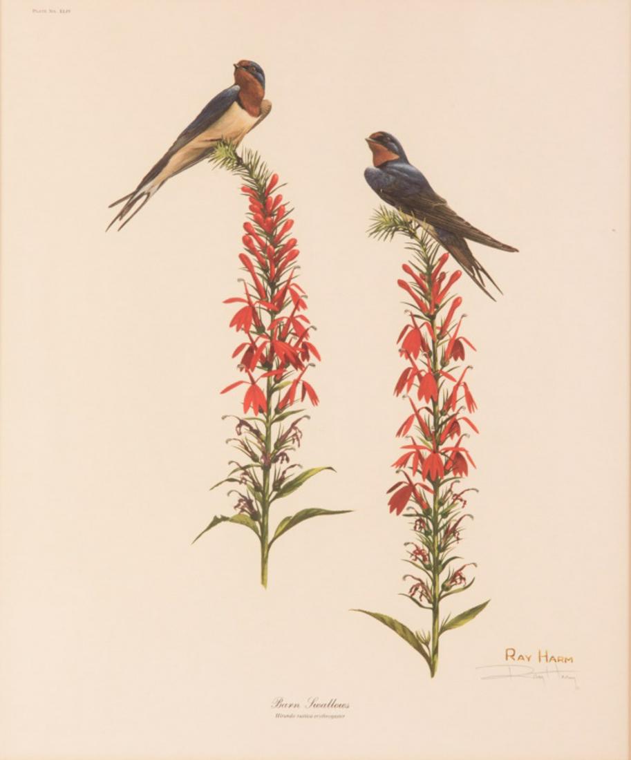 Ray Harm Signed Print (1 of 7)