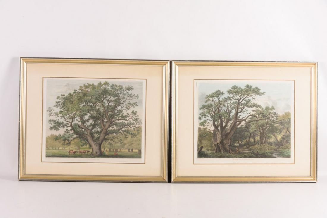 Pair of Prints of Trees (1 of 4)