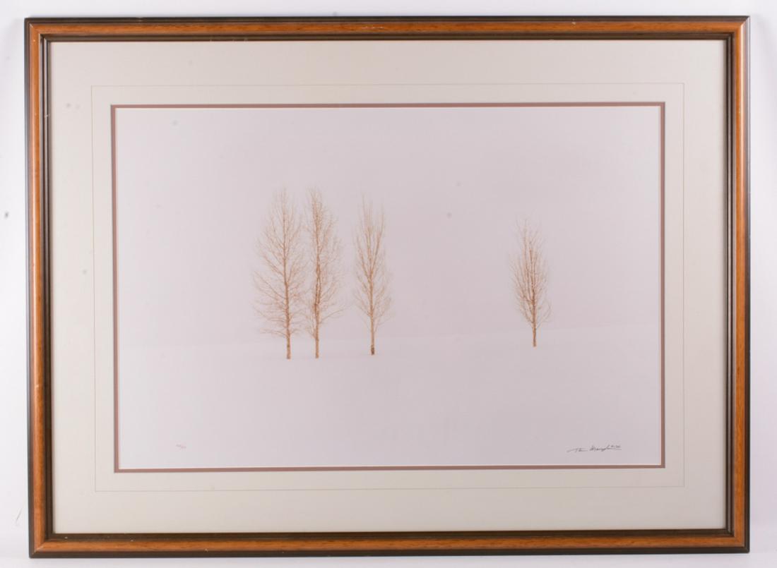 Thomas Mangelson Winter Aspen Print (1 of 7)