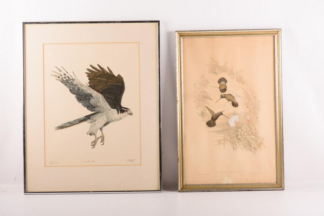 Two Framed Bird Prints (1 of 5)