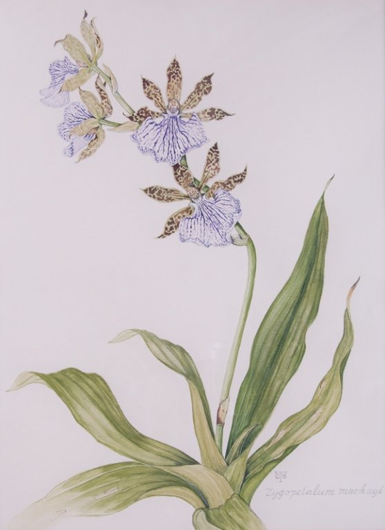 Orchid Watercolor Signed GBT (1 of 5)
