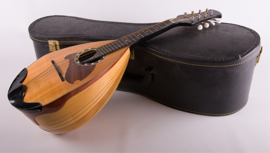 Bowl Back Mandolin (1 of 8)