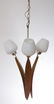 Danish Teak Light Fixture