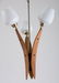 Danish Teak Light Fixture - 3