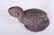 Liberian Guinea Fowl Figure - 5