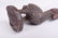 Liberian Guinea Fowl Figure - 7