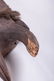 Liberian Poro Society Mask - 7