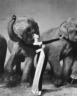 Richard Avedon, Dovima with Elephants 1955: 1972 Sheet-fed PhotoGravure printed by C.J. Bucher (swiss printers) - Image size approx. 7.5"x10"