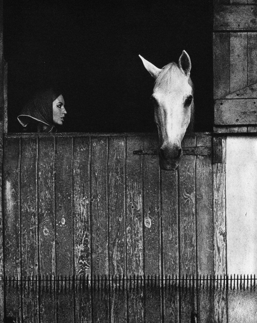 (Nude) Sam Haskins - Horse - PhotoGravure: 1967 Sheet-fed PhotoGravure printed in Switzerland - Nus - Image size approx. 10"x13"