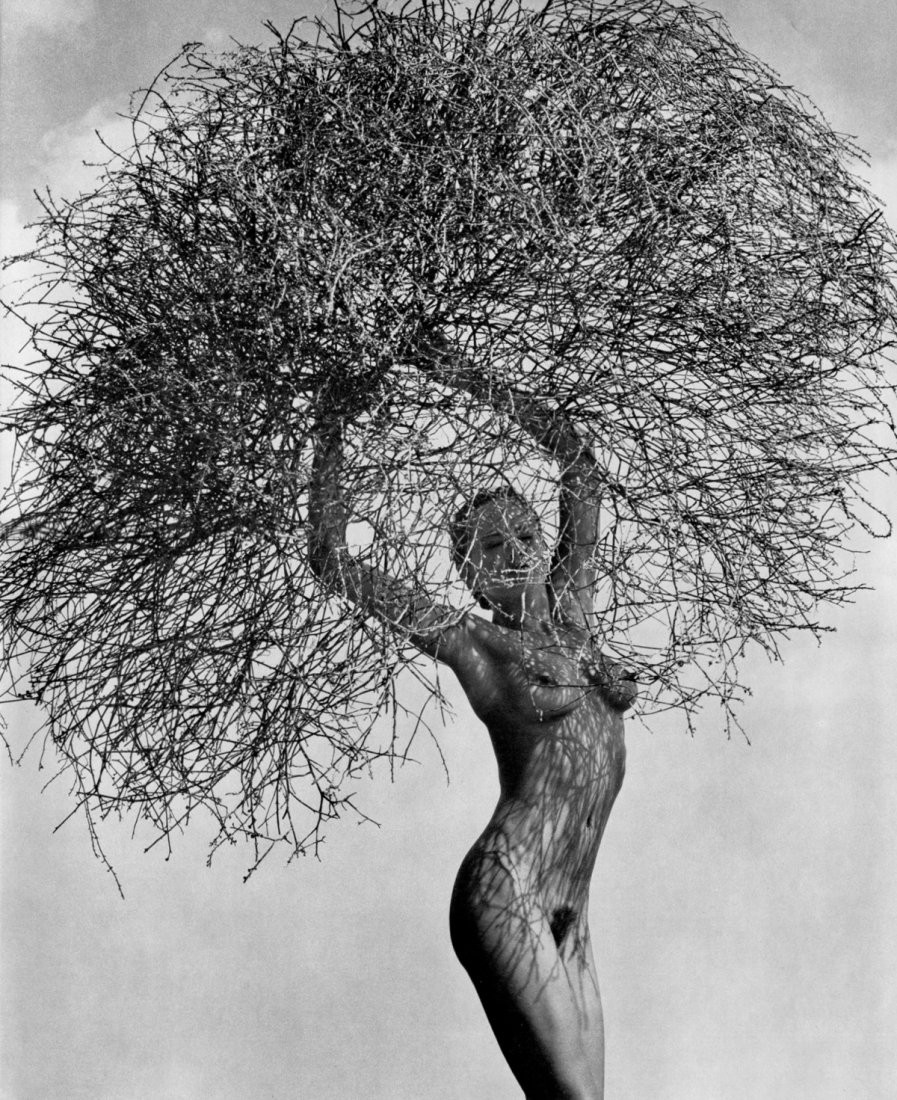 (Nude) Herb Ritts - Neith with Tumbleweed: 1986 Sheet-fed PhotoGravure printed Tokyo, Japan for Twin Palms Publishers in 1988 - limited edition of 6100, Nus - Image size approx. 11"x 13"