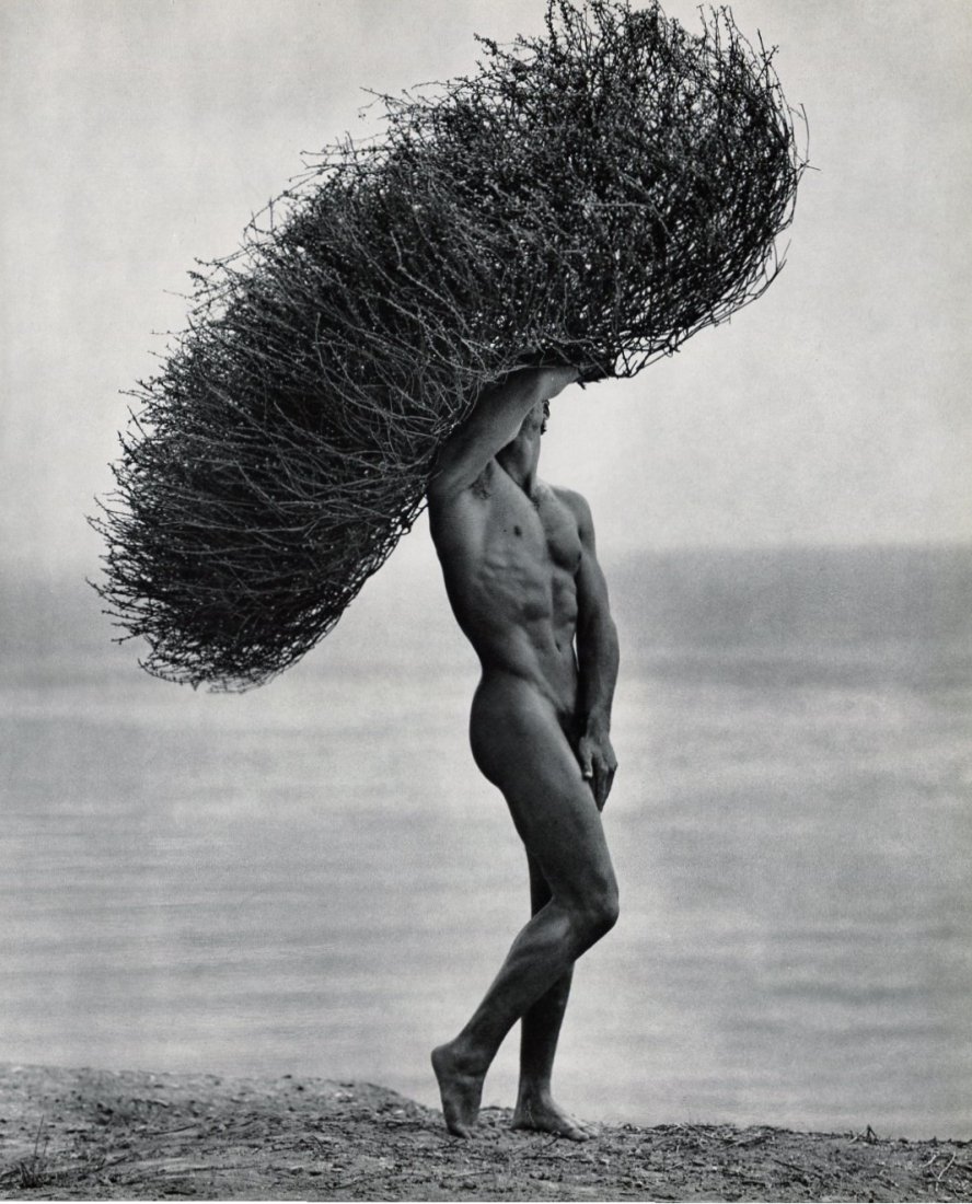 (Nude) Herb Ritts - Male w/ Tumbleweed - Gravure: 1986 Sheet-fed PhotoGravure printed Tokyo, Japan for Twin Palms Publishers in 1988 - limited edition of 6100, Nus - Image size approx. 11"x 13"