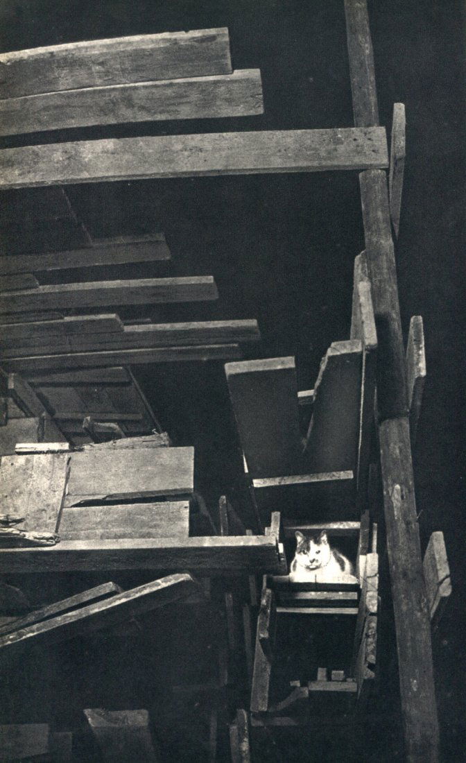 Brassai - Cat on stairs - Vintage Gravure: 1947 Sapho, France (printer) vintage Sheet-Fed PhotoGravure - Image Size approx. 7"x10"