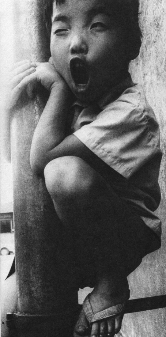 Nobuyoshi Araki - Satchin - Gravure: 1965 Heibonsha publishers, Japan (printer) Sheet-fed Gravure - Araki s first project - Image Size approx. 5 x10