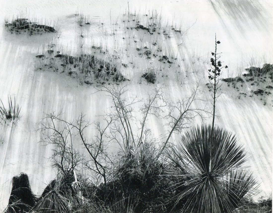 Brett Weston - White Sands, New Mexico: Sheet-fed Copperplate Gravure printed 1960 in New York by the Photogravure and Color Co. - Image size (inches) approx. 9 x 7.5
