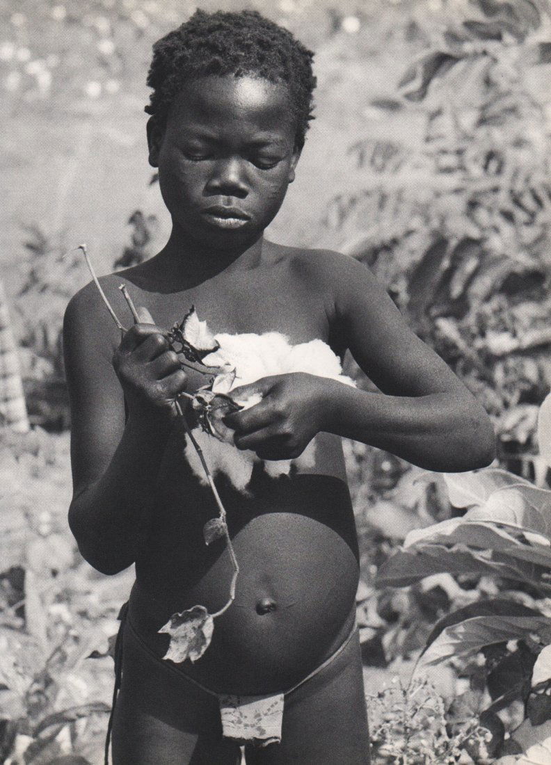 Emil Schulthess - Cleaning Cotton - Afrika: 1958 Sheet-fed Copperplate Gravure printed by Conzett & Huber, Switzerland - Image size approx. 9.5 x 12"