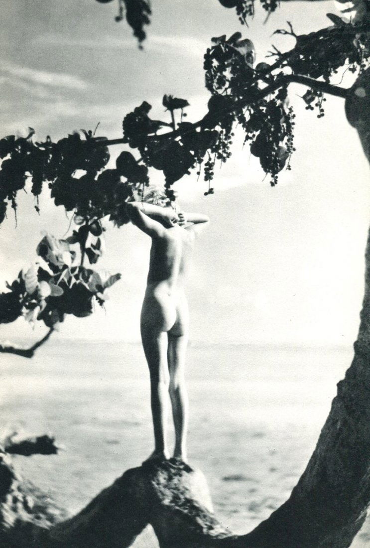 Dorr, Nell - Florida Keys: Vintage Sheet-Fed Photogravure printed in 1939, USA - Image size approx. 5.5" x 8.5"