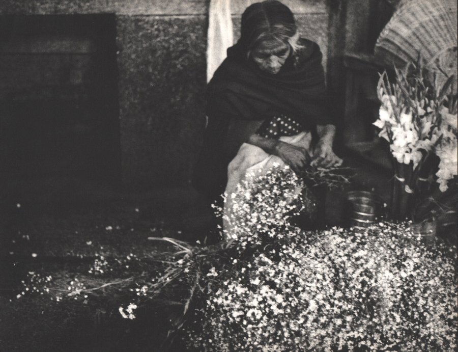 Dorr, Nell - Flowers - Oaxaca: Vintage Sheet-fed Gravure printed in 1962 by Photogravure and Color Company, USA - Image size 13" X 10"