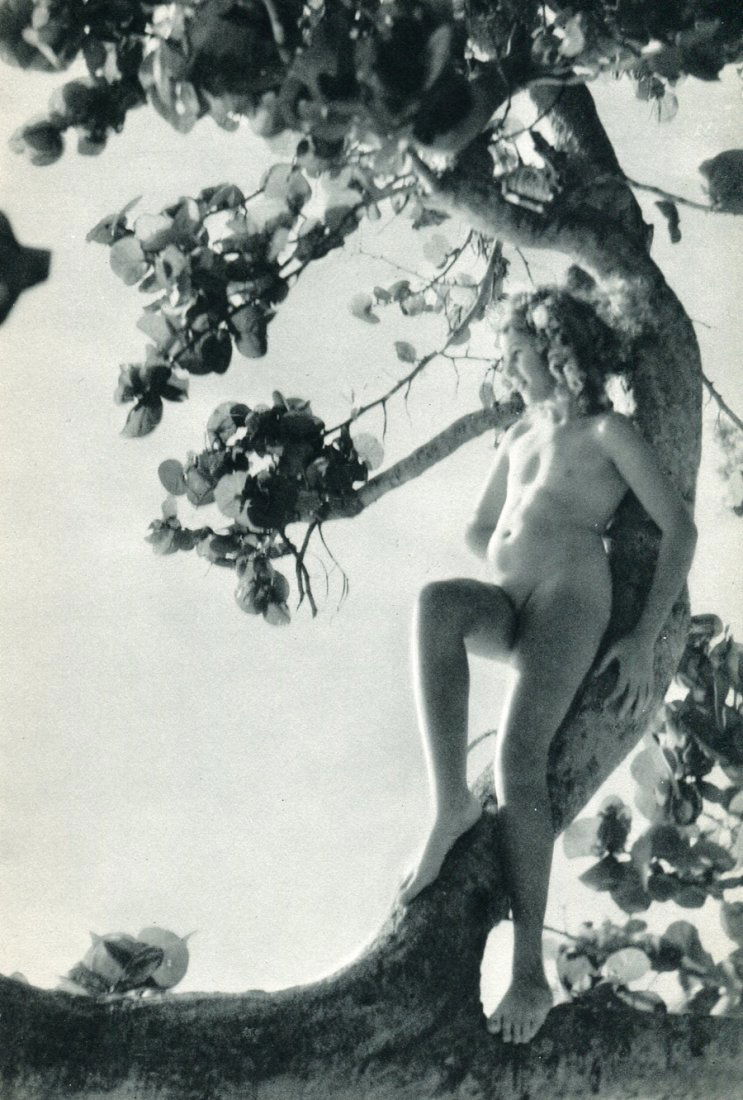 Dorr, Nell - Florida Keys: Vintage Sheet-Fed Photogravure printed in 1939, USA - Image size approx. 5.5" x 8.5"