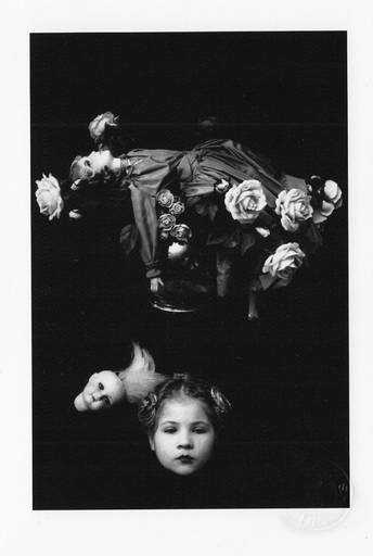 eva ionesco portfolio 