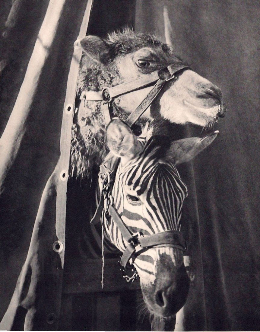 Brassai - Curiosite: 1939 Sheet-fed Gravure printed by Neogravure Company, France - Image size approx. 9"x 11"