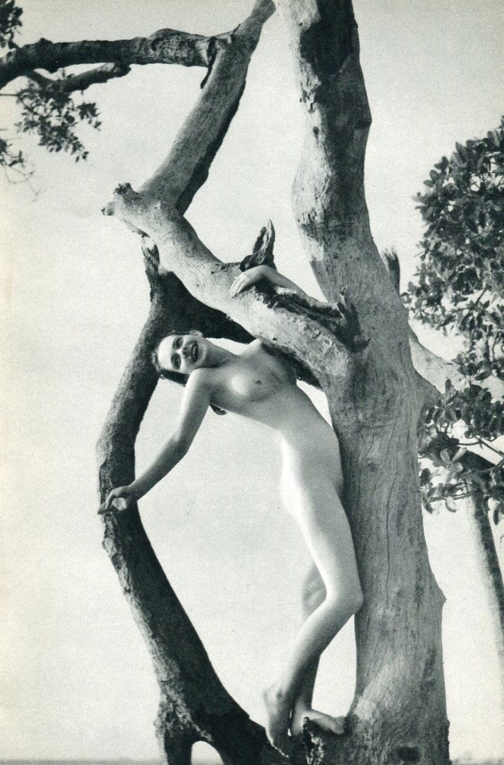 Dorr, Nell - Florida Keys: Vintage Sheet-Fed Photogravure printed in 1939, USA - Image size approx. 5.5" x 8.5"