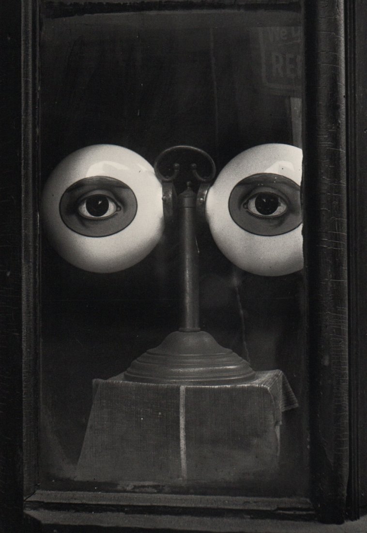 Penn, Irving - Opticina's Shop Window: Photolithograph, printed in the USA 1991 - Image Size 7" x 10"