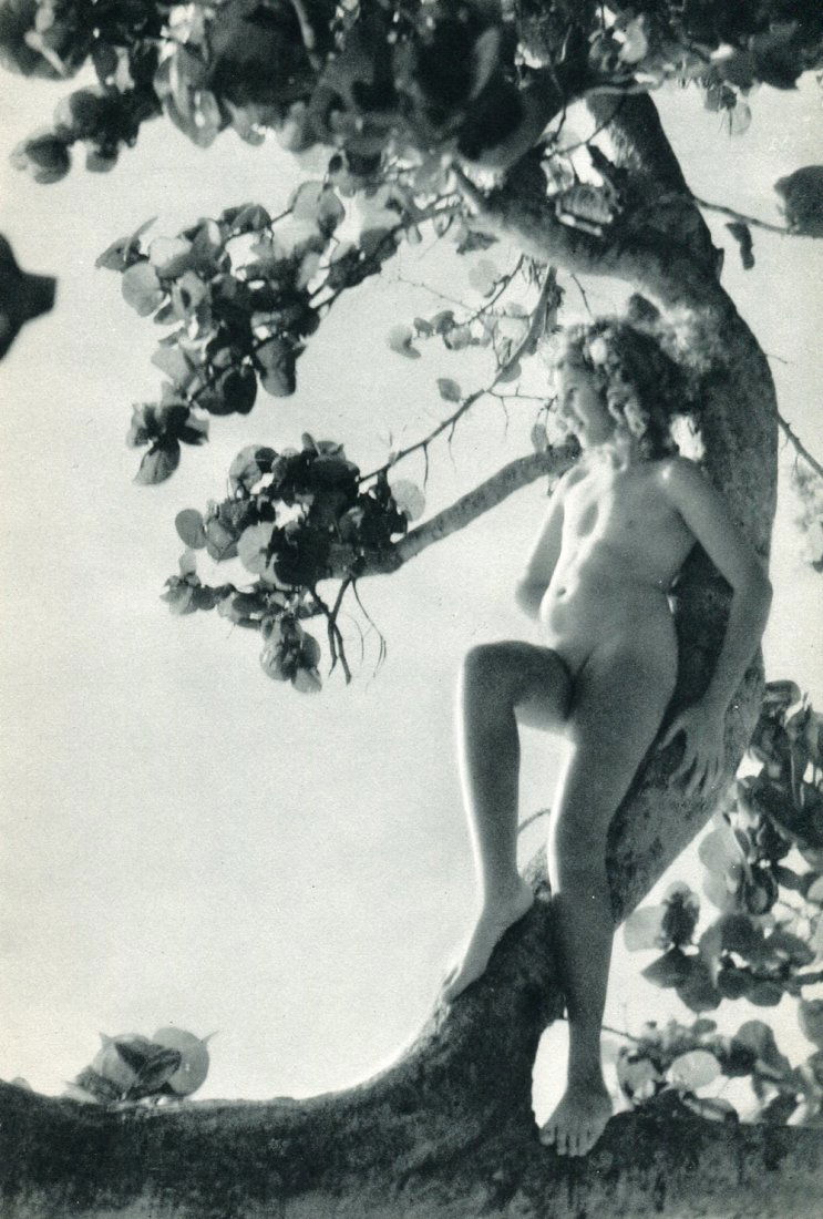 Dorr, Nell - Florida Keys: Vintage Sheet-Fed Photogravure printed in 1939, USA - Image size approx. 5.5" x 8.5"