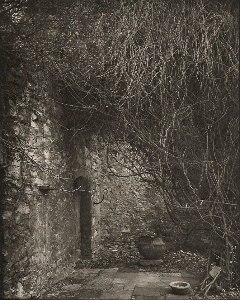 Sudek, Josef - Garden of the Lady Sculptor: 1976 Roto-Sadag, SA (printer) in Geneva, Switzerland - Sheet-fed Copperplate Gravure - Image Size approx. 7.5" x 9"