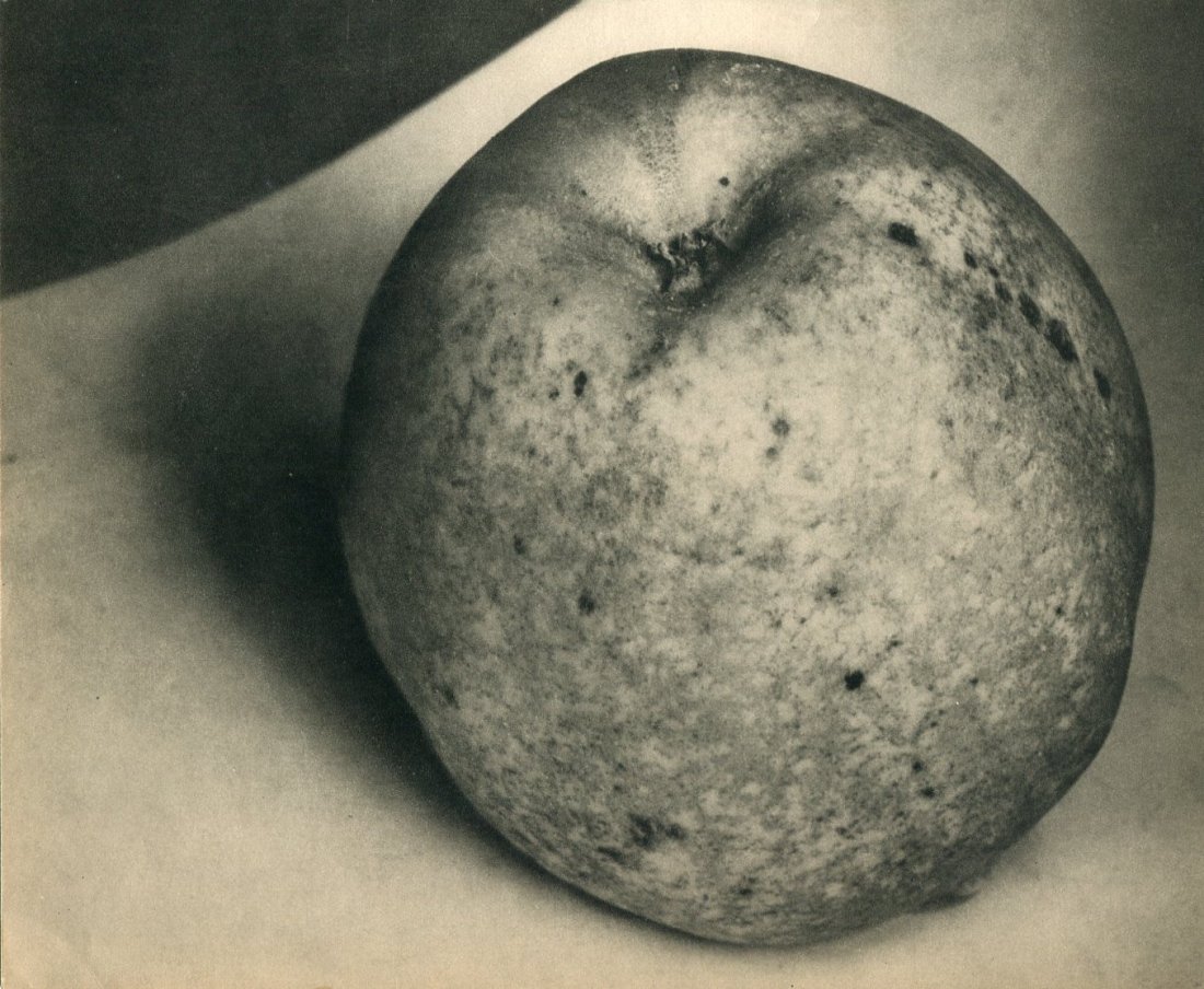 Steichen, Edward - Apple: Vintage Sheet-Fed Gravure printed in 1930 by La Neogravure, France - Image size approx. 9" x7"