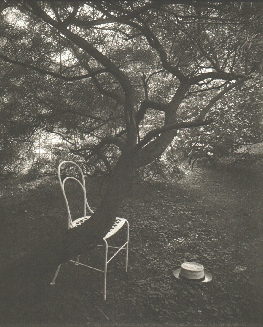 Sudek, Josef - Magic Garden: 1976 Roto-Sadag, SA (printer) in Geneva, Switzerland - Sheet-fed Copperplate Gravure - Image Size approx. 7.5 x 9.5"