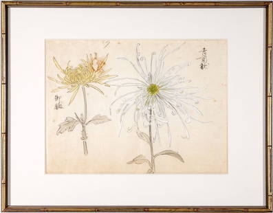 Japanese Ink And Color On Rice Paper Painting, Chrysanthemums: A wonderfully painted ink and color on rice paper painting depicting two chrysanthemums, one yellow, one white with yellow interior. Calligraphy to the left trim and upper right corner. Custom matted,