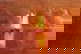 item-206064495=12