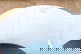 item-206064506=4