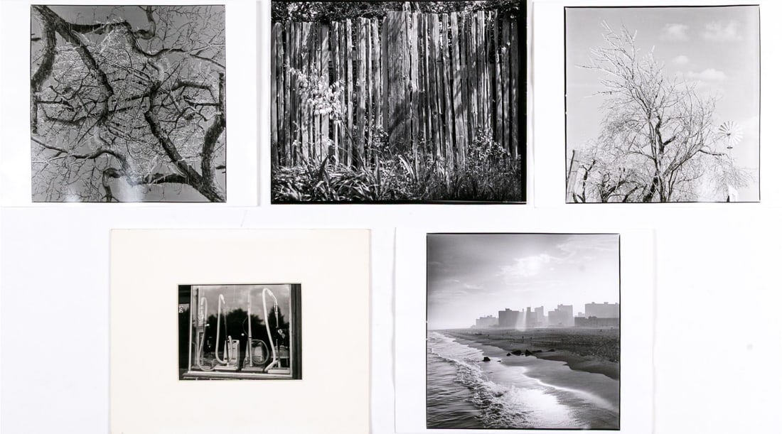 Collection Of Five Michael Miller Gelatin Silver Print: A wonderful collection of five gelatin silver print by Michael Miller depicting scenes of trees and urban landscapes. Pencil signed, numbered, and titled on the verso. Unframed. Dimensions (largest):