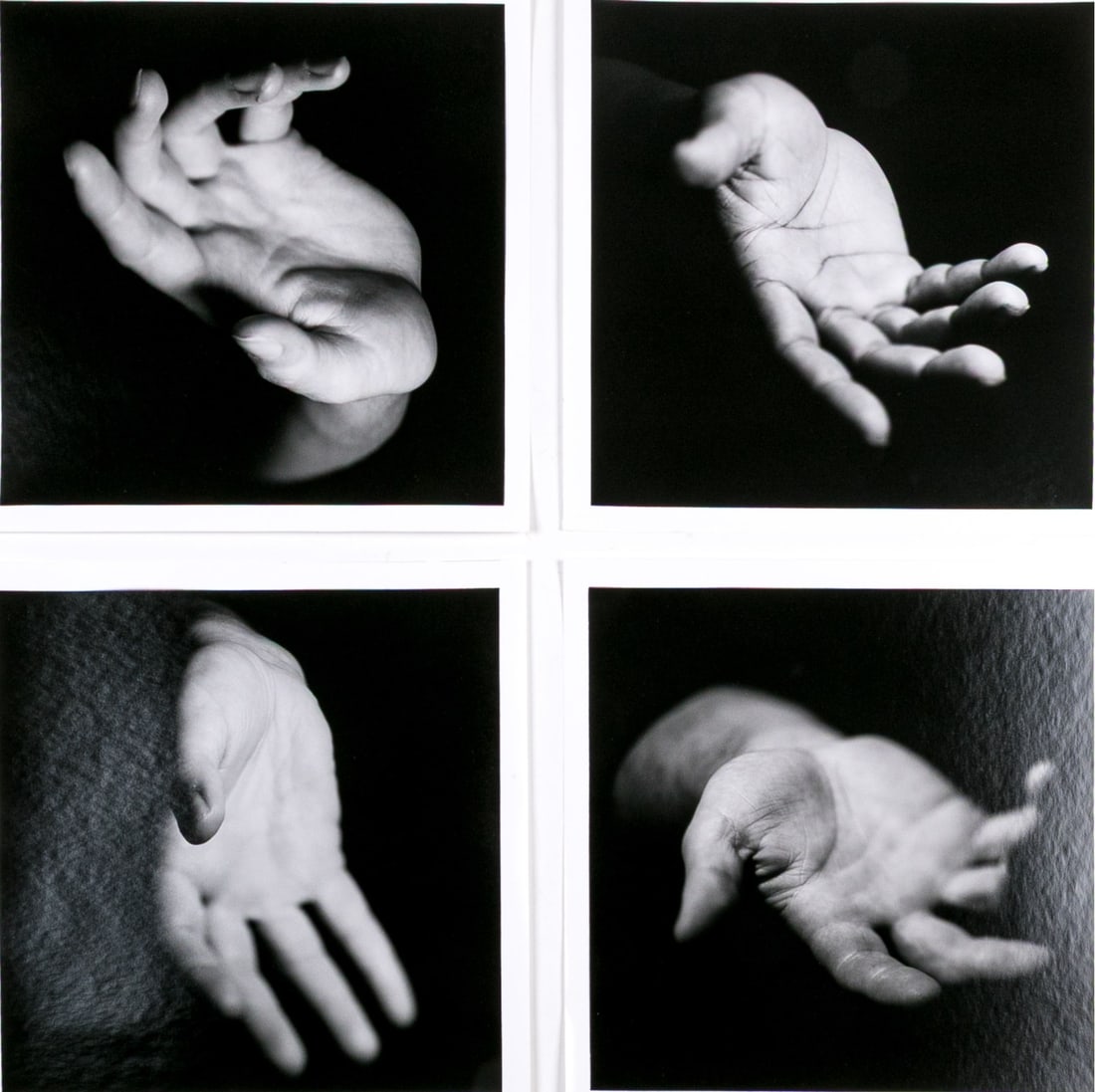 Michael Schwab Signed Photographs Of Hands, 1997: A wonderful group of four photographic prints by Michael Schwab depicting hands reaching out as though offering against dark backgrounds. Pencil titled, dated 1997, numbered, and signed on the verso.